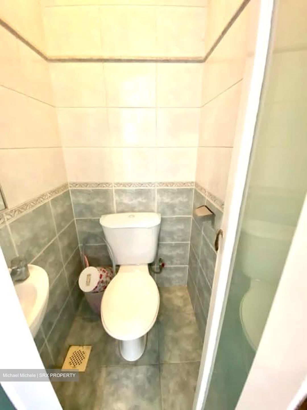 Peppermint Grove (D11), Apartment #564019701